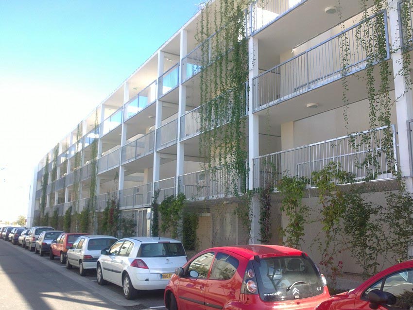 amenagemant paysager creation espaces verts mayet pars jardins toulouse andromede 850x638